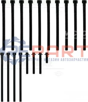 Комплект болтів ГБЦ BMW 1 (E82), 1 (E88), 1 (F20), 1 (F21), 2 (F22, F87), 2 (F23), 3 (E90), 3 (E91), 3 (E92), 3 (E93), 3 (F30, F80), 3 (F31), 3 GRAN TURISMO (F34), 4 (F32 3.0/3.0H 03.06-07.19 VICTOR REINZ 141042701 Купити в Україні