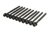 Фото Комплект болтів ГБЦ HYUNDAI ACCENT IV, ACCENT V, I10 I, I10 II, I20 ACTIVE, I20 I, I20 II, I20 III, I30, IONIQ, SOLARIS KIA CEE'D, CEED, NIRO I, PICANTO II, PICANTO III, PRO CEE'D 1.2-1.6H 08.08 VICTOR REINZ (14-12061-01) зображення 1