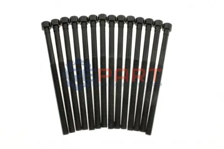 Комплект болтів гбц (14шт) BMW 3 (F30/F80)/5 (G30/F90)/X3 (G01/F97) 15- B46/B48 VICTOR REINZ 141226103 Купити в Україні