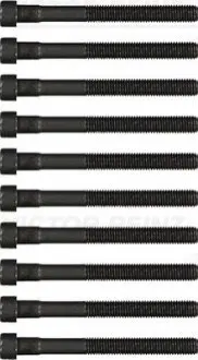 Фото Болти головки (к-кт 10шт.) MB (W124/W201) OM102 (M12x120) VICTOR REINZ (143202601) зображення 1