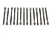 Фото Комплект болтів ГБЦ BMW 3 (E36), 3 (E46), 5 (E39), 5 (E60), 5 (E61), 7 (E38), 7 (E65, E66, E67), X3 (E83), X5 (E53), Z3 (E36), Z4 (E85) 2.0-3.0 01.91-12.10 VICTOR REINZ (14-32101-01) зображення 1