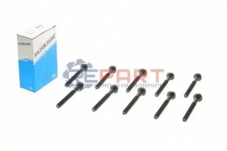 Комплект болтов гбц REINZ VICTOR REINZ 143210901 Купить в Украине