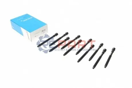 Комплект болтів ГБЦ AUDI A4 B6, A4 B7, A6 C5, A6 C6, A8 D2, A8 D3, ALLROAD C5 VW PHAETON, TOUAREG 3.7/4.2 11.98-03.16 VICTOR REINZ 143212702 Купити в Україні