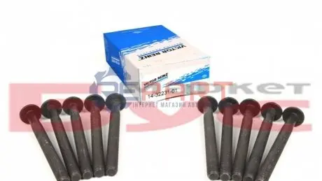 Фото Болти головки (к-кт 10шт.) Renault Trafic 2.0-2.5dCi /Master 2.5dCi VICTOR REINZ (143223101) зображення 1