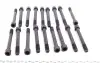 Фото Комплект болтів ГБЦ HYUNDAI GALLOPER I, GALLOPER II, H-1, H-1 / STAREX, H100, PORTER, TERRACAN KIA K2500, PREGIO MITSUBISHI GALANT IV, GALANT V, GALANT VI, L 300 / DELICA II 2.0-2.6D 09.80 VICTOR REINZ (145501501) зображення 2