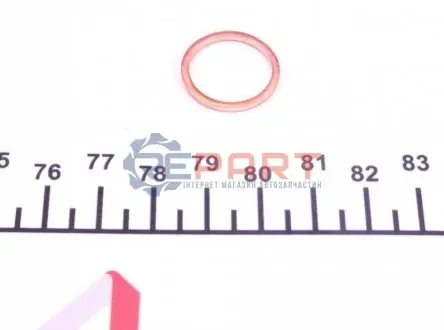 Фото Шайба под форсунку Citroen Berlingo/Jumpy / Peugeot Expert/Partner 1.9 D 94- VICTOR REINZ (40-70624-00) изображение 1