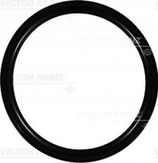 Уплотнительное кольцо VICTOR REINZ 407608800 (фото 1)