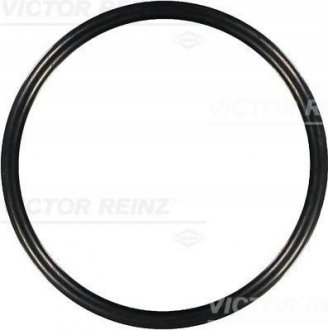 Уплотнительное кольцо VICTOR REINZ 407613100 (фото 1)