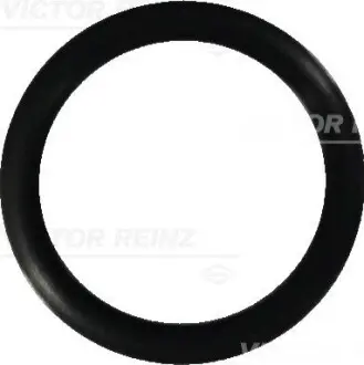 Уплотнительное кольцо VICTOR REINZ 407644900 Купить в Украине