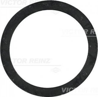 Кольцо уплотнительное VICTOR REINZ 407724300 (фото 1)
