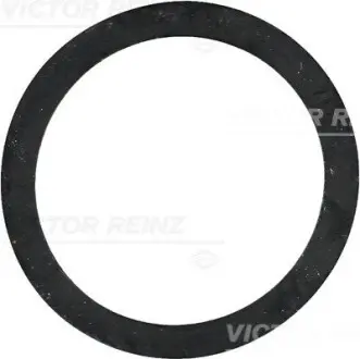 Прокладка термостата FORD ESCORT V, ESCORT V EXPRESS, ESCORT VI, FIESTA III, GALAXY I, ORION III, P 100 II, SIERRA, SIERRA I, TRANSIT OPEL ASCONA B, CORSA A, CORSA A TR 1.0-2.0 09.62-05.06 VICTOR REINZ 407724300