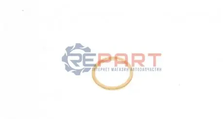 Фото Шайба болта зливу оливи BMW 3 (F30/F80)/5 (F10) 95- (18x22x1.5) N13/N63/N74 VICTOR REINZ (41-70166-00) зображення 1