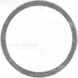 Кольцо уплотнительное VICTOR REINZ 417107200 (фото 1)