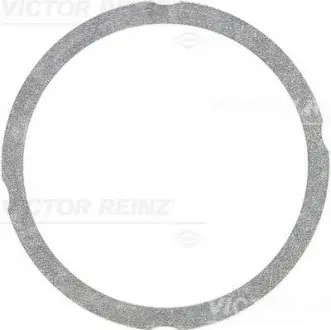 Прокладка головки цилиндров VICTOR REINZ 612547530