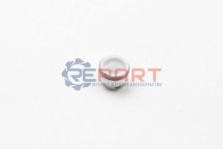Сальник клапана Citroen C25/Peugeot J5 90- VICTOR REINZ 70-23062-00