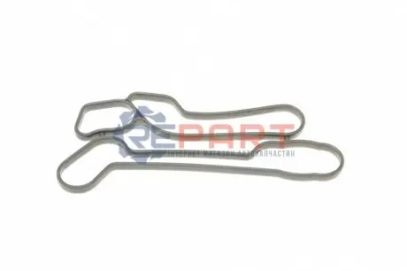 Прокладка радіатора масляного Chevrolet Aveo/Fiat Croma 1.6/1.8 16V 05- VICTOR REINZ 703817300 Купити в Україні