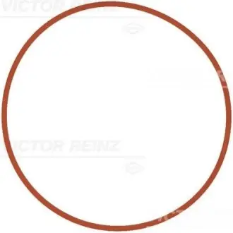 Прокладка впускного колектора BMW 1 (F40), 2 GRAN COUPE (F44), X2 (F39) 2.0 11.18 VICTOR REINZ 711140400 Купити в Україні