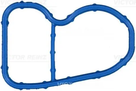 Прокладка впускного колектора BMW 3 (G20, G80, G28), 3 (G21, G81), 5 (G30, F90), 5 (G31), 6 GRAN TURISMO (G32), X3 (G01, F97, G08), X4 (G02, F98), X5 (G05, F95) 2.0D/2.0DH 03.17 VICTOR REINZ 711709000