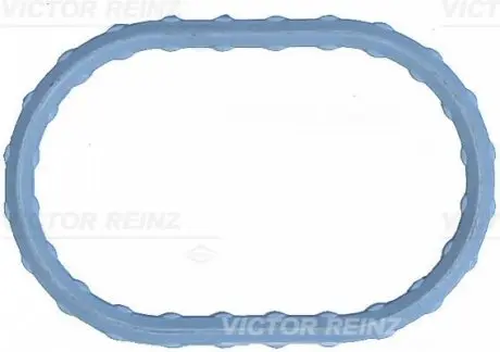 Прокладка впускного колектора(верх) JAGUAR X-TYPE I 2.1 03.02-11.09 VICTOR REINZ 711749800 Купити в Україні