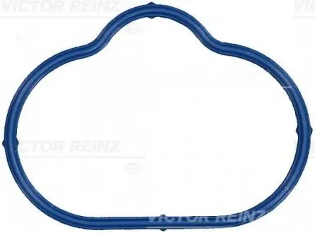 Прокладка впускного колектора JAGUAR XJ, XK 8 3.2/4.0 03.96-07.05 VICTOR REINZ 711751800
