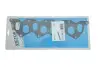 Прокладка колектора впускного/випускного Renault Kangoo 1,6D/1.9D 97-, F8M/F8Q 713156800