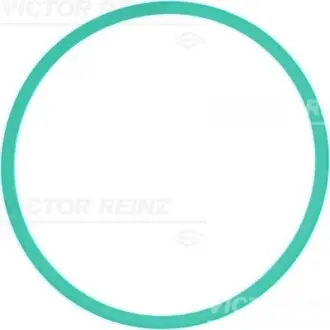 Ущільнення, впускний колектор VICTOR REINZ 713930200