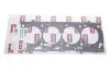 Фото Прокладка ГБЦ Skoda Fabia/Octavia/VW Caddy/Polo/Golf 1.4 16V 04-16 Vika (11031391201) зображення 1