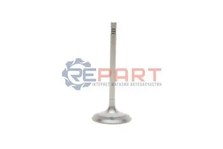 Клапан (впуск) VW Caddy III/Golf/Passat 1.6 04-15 Vika 11090176101 Купити в Україні