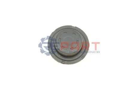 Заглушка ГБЦ VW T5/T6 2.0 TSI 11- (для розподільного валу) Vika 11151769001 Купити в Україні