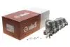 Фото Колектор впускний VW Passat/Golf 2.0TDI 05-10 Vika (11291785701) зображення 2