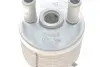 Радиатор масляный Ford Galaxy/Seat Alhambra/VW Sharan 95-10 (теплообменник) Vika (44091597401) изображение 2