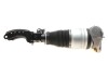 Air shock absorber assembly / front left Vika 46160000501 (фото 7)