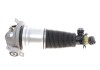 Air shock absorber assembly / rear left 46160000701