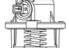 Термостат системи охолодження WAHLER 4508105D (фото 1)