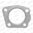 Фото Прокладка випускної системи BMW 3 (E92) NISSAN NOTE, QASHQAI I, TIIDA RENAULT CLIO III, FLUENCE, GRAND SCENIC II, GRAND SCENIC III, KANGOO BE BOP, KANGOO EXPRESS, KANGOO II 1.5D/3.0D 09.02 WALKER (80492) зображення 1