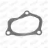 Прокладка випускної системи FIAT 500, 500 C, FIORINO, GRANDE PUNTO, PANDA, QUBO FORD KA LANCIA YPSILON OPEL COMBO, COMBO TOUR, CORSA D, MERIVA A 1.3D 09.03 WALKER (80743) зображення 1