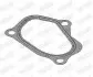 Прокладка випускної системи FIAT 500, 500 C, FIORINO, GRANDE PUNTO, PANDA, QUBO FORD KA LANCIA YPSILON OPEL COMBO, COMBO TOUR, CORSA D, MERIVA A 1.3D 09.03 WALKER (80743) зображення 3