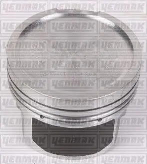 Поршень с кольцами і пальцем (размер отв. 81.01 / STD) AUDI 1.8T 20V (AEB) YENMAK 31-03296-000 Купити в Україні