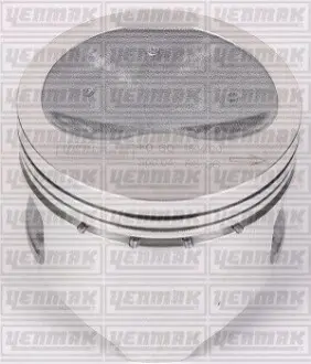 Поршень с кольцами і пальцем (размер отв. 86.40/STD) FIAT Fiorino, Scudo 1,6 95-, CITROEN Jumpy 1,6 95-, PEUGEOT Expert 1,6 95- (159 A 3,000 M 202 PA 15,0) YENMAK 31-03395-000