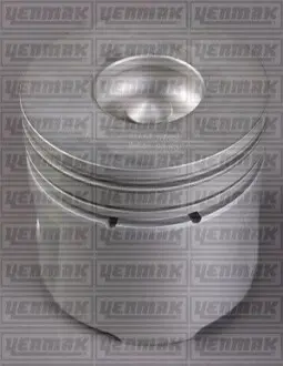 Поршень с кольцами і пальцем (размер отв. 93.67 / STD) FORD Transit 2.5DI -00 (4цл.) (89 MY 2,5 Lt, M4 T-6110 AA) YENMAK 31-03426-000 Купити в Україні