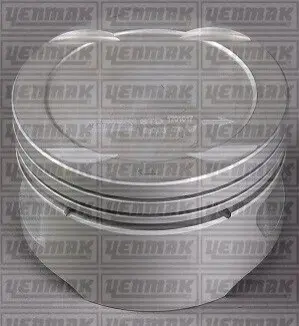 Поршень с кольцами і пальцем (размер отв. 79.00/STD) OPEL Astra F/G 1.6 Vectra B 1.6 (C1.6XE, X1.6XEL, X1.6XE) YENMAK 31-03817-000 Купити в Україні