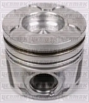 Поршень с кольцами і пальцем (размер отв. 73.709 / STD) (8HY (DV4TED4) / 9HV (DV6ATED4),9HV (DV6TED4),9HX (…) YENMAK 31-04112-000 Купити в Україні