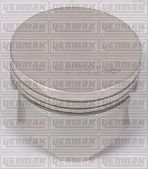 Поршень с кольцами і пальцем RENAULT Kangoo 1.2 (размер отв. 69 / STD) (DF 7 700/701/702/706/710/720/722/726/720/730/726) YENMAK 31-04155-000 Купити в Україні