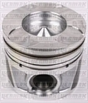 Поршень з кільцями і пальцем (розмір отв. 79.5 / STD) FIAT Doblo 1.6 Multijet 10- (Euro5) YENMAK 31-04292-000 Купити в Україні