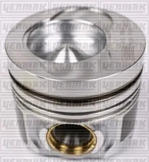 Поршень VW Crafter 2.5TDI (81.00mm/STD) BJL,BJM,CECA,CECB YENMAK 3104337000 Купити в Україні