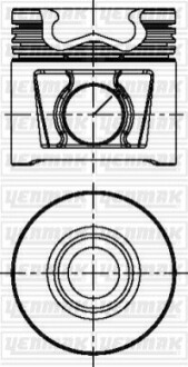 Поршень с кольцами і пальцем (размер отв. 88,00/STD) FIAT Ducato 2.3D Multijet 06-, IVECO Daily 2,3D (F1AE 0481C EURO 3) YENMAK 31-04831-000