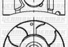 OPEL Поршень з кільцями та пальцем (розмір отв.. 79,0/STD) Astra H, Combo, Meriva, 1.7CDTI 03- YENMAK 39-04233-000 (фото 1)