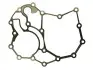 Сальник коробки передач ZF (0501324454) изображение 1