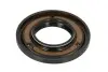 Прокладка коробки передач T 557 ZF (0501332340) зображення 2