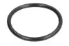 Кольцо уплотнительное ZF (0634306053) изображение 1